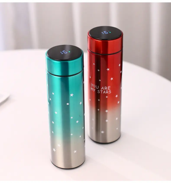 Vacuum Insulated Smart Water Temperature Bottle - Image 2